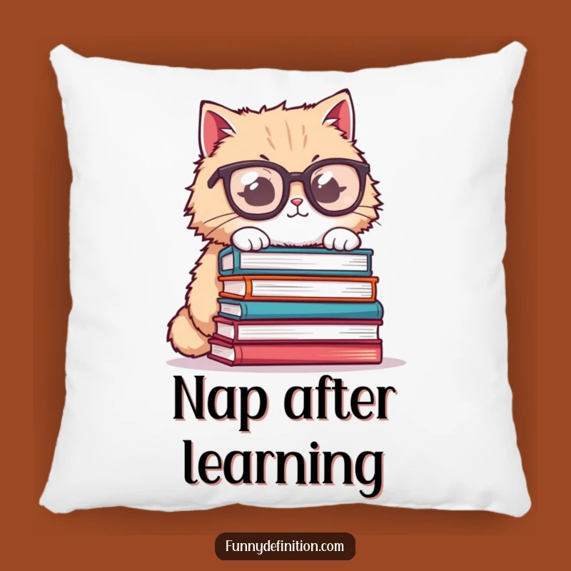 Funny Cat Glasses Pillow - Cozy Book Nook Humor, Great Funny Gift